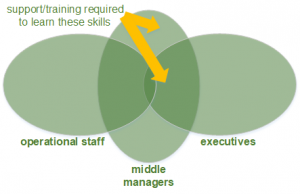 managing in the middle - H4 Consulting